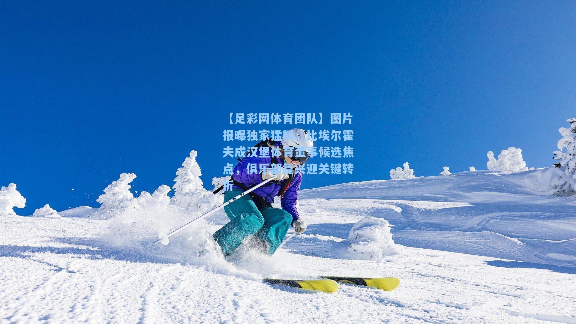 图片报曝独家猛料，比埃尔霍夫成汉堡体育董事候选焦点，俱乐部复兴迎关键转折